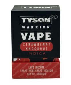 Tyson 2.0 Rechargeable and Disposables Vape Pen 3 Grams